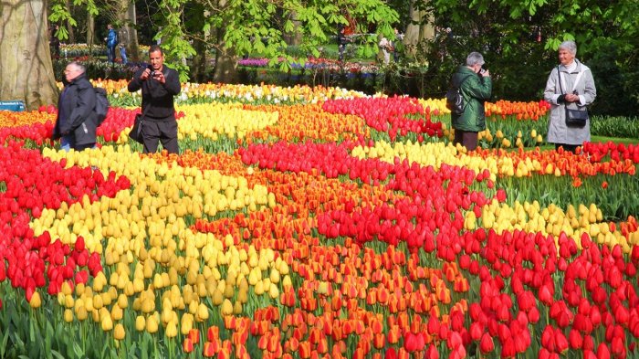 Detail Taman Bunga Di Belanda Nomer 49