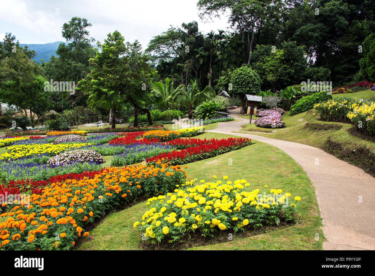 Detail Taman Bunga Di Chiang Mai Nomer 34