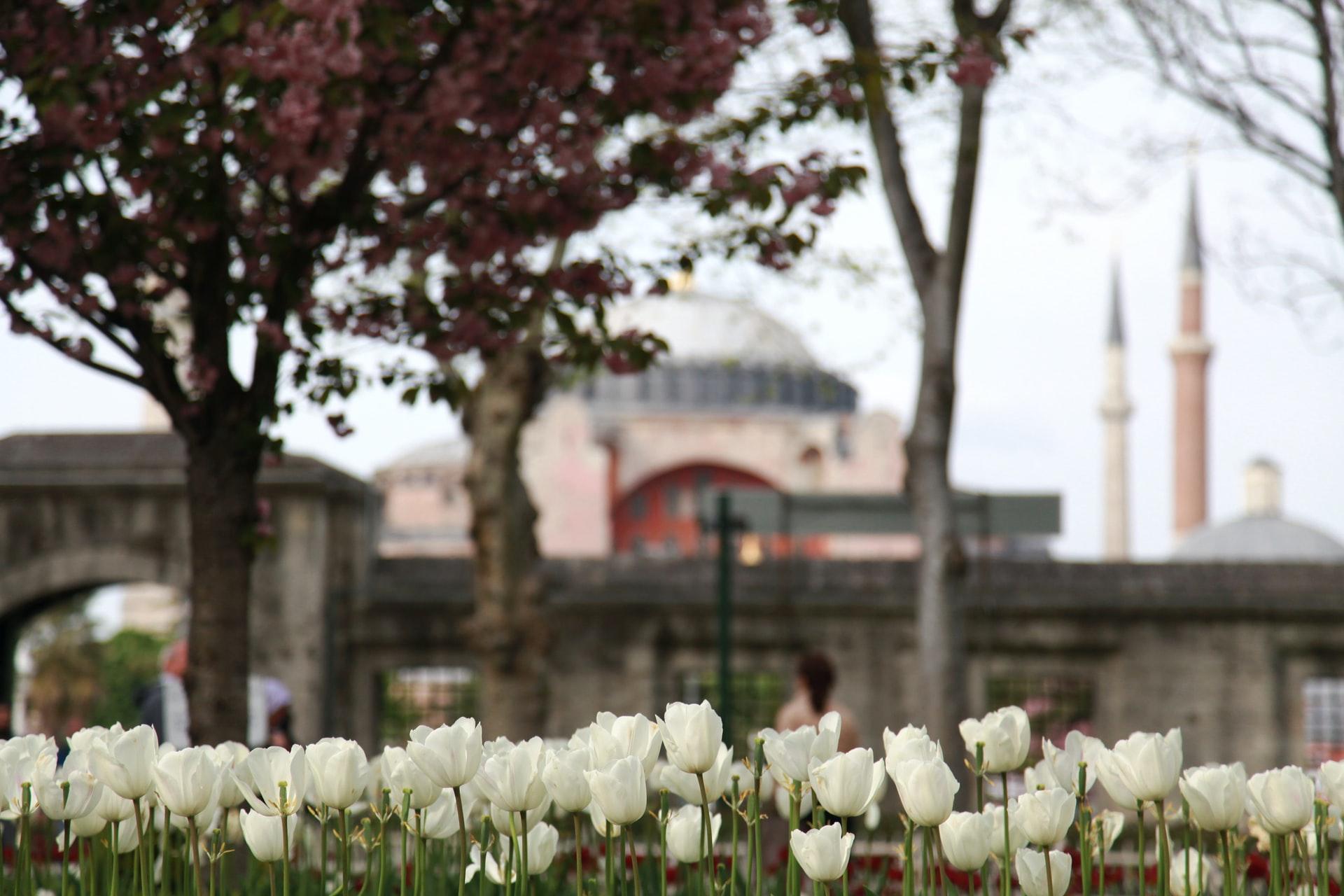 Detail Taman Bunga Di Turki Nomer 28