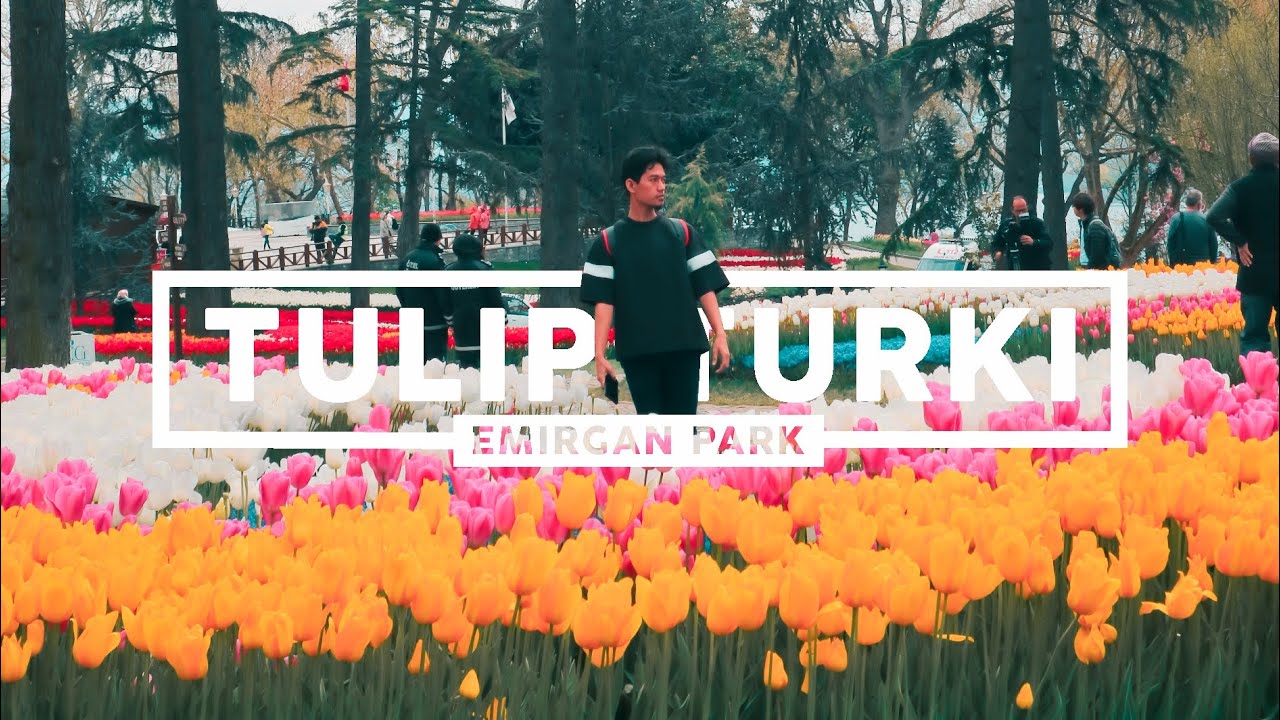Detail Taman Bunga Di Turki Nomer 34