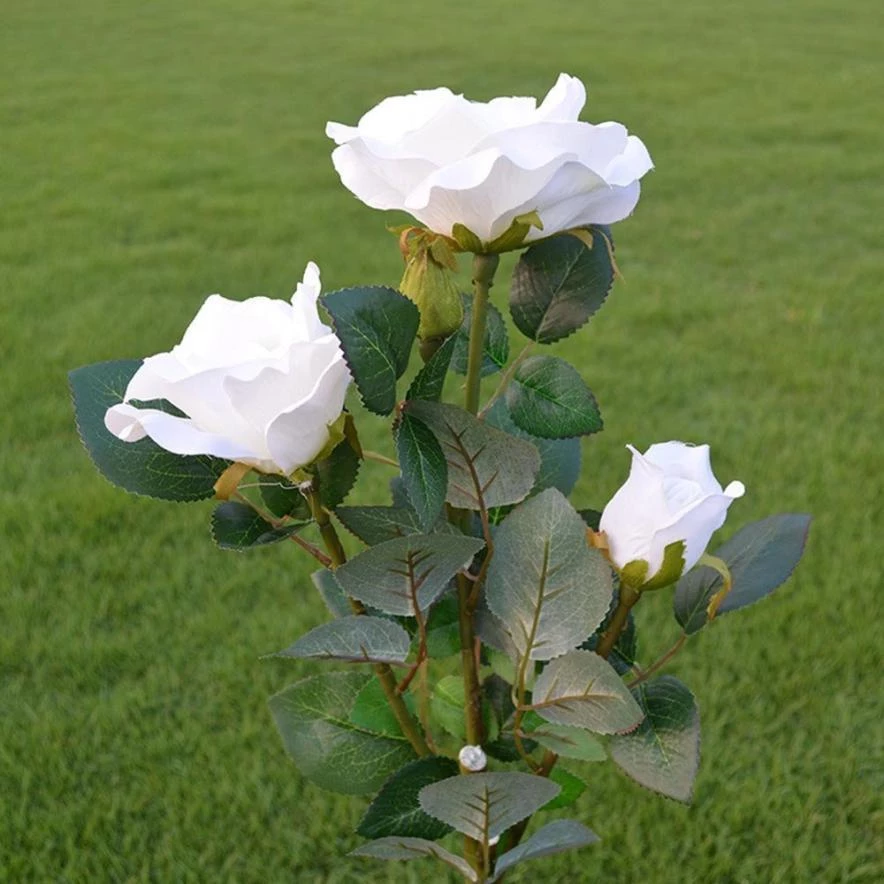 Detail Taman Bunga Mawar Putih Nomer 25