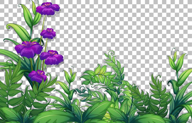 Detail Taman Bunga Vector Nomer 28