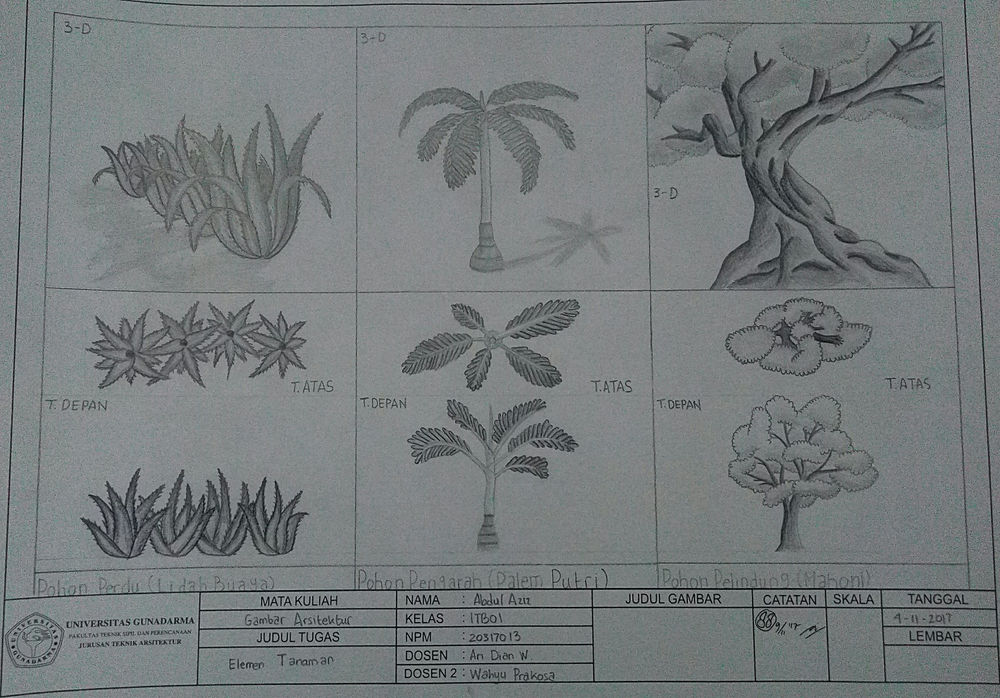 Detail Tampak Atas Pohon Nomer 35