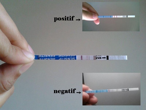 Detail Tanda Positif Dan Negatif Nomer 26