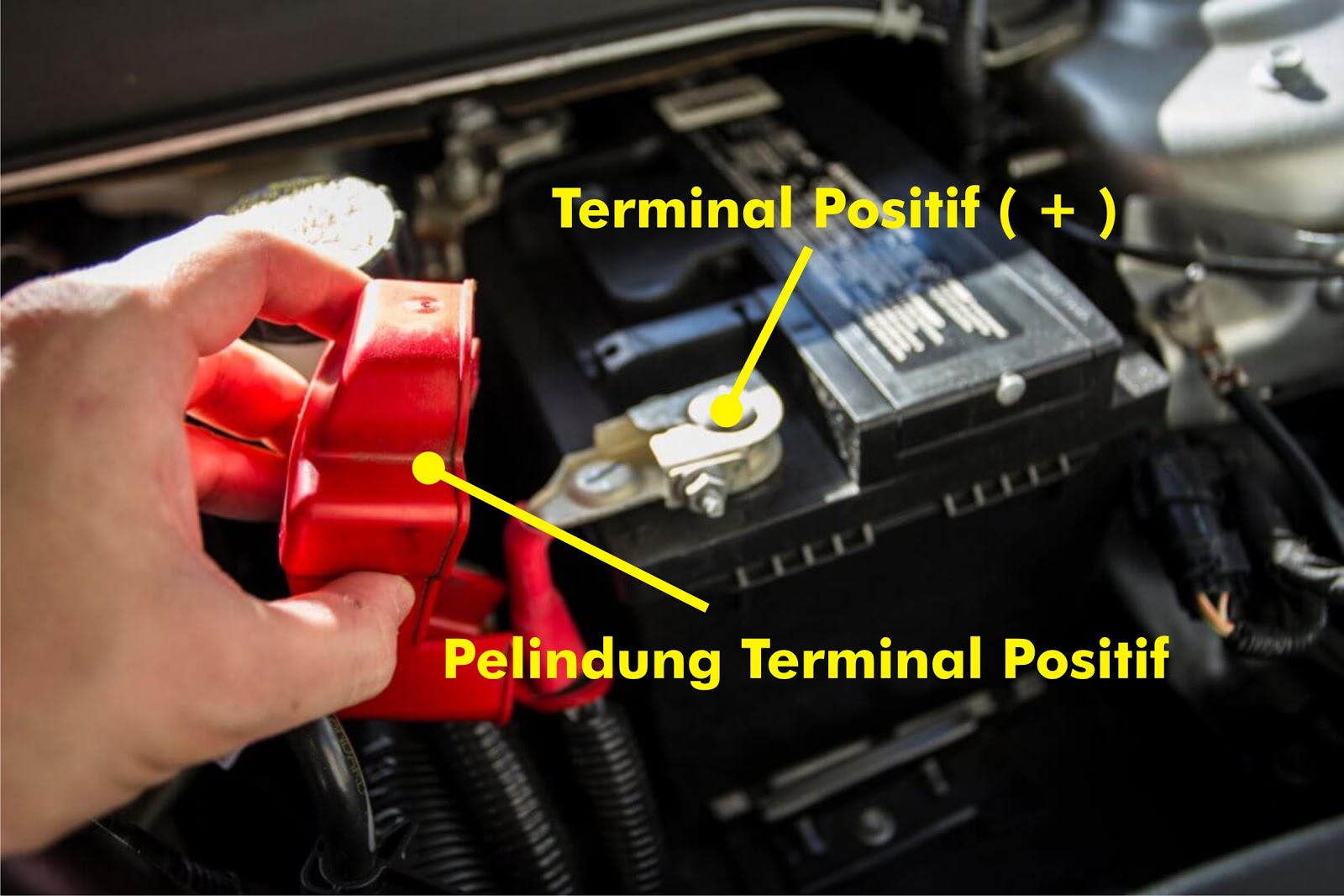 Detail Tanda Positif Dan Negatif Nomer 27