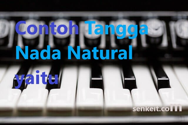 Detail Tangga Nada Natural Yaitu Nomer 4