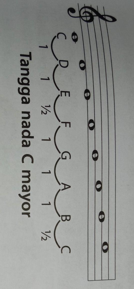 Detail Tangga Nada Natural Yaitu Nomer 31