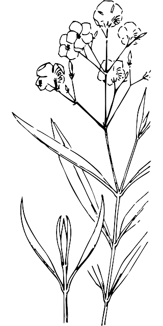 Detail Tangkai Bunga Vector Nomer 13