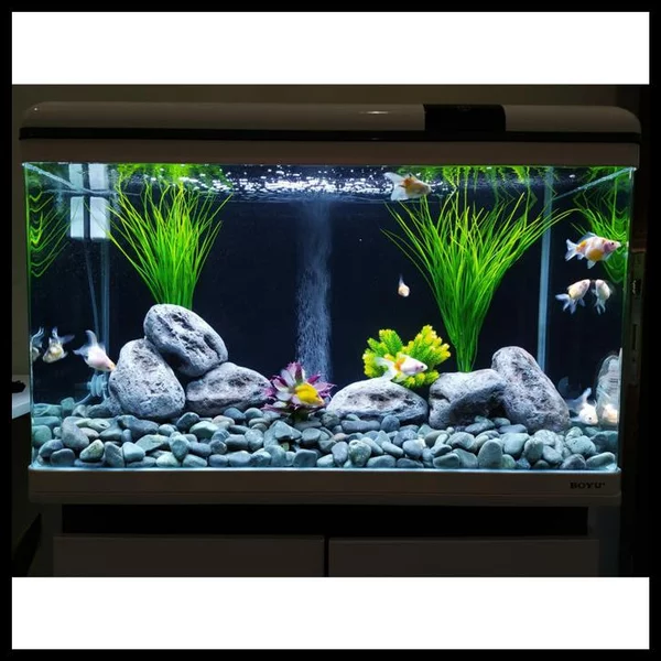 Detail Tank Koki Nomer 16