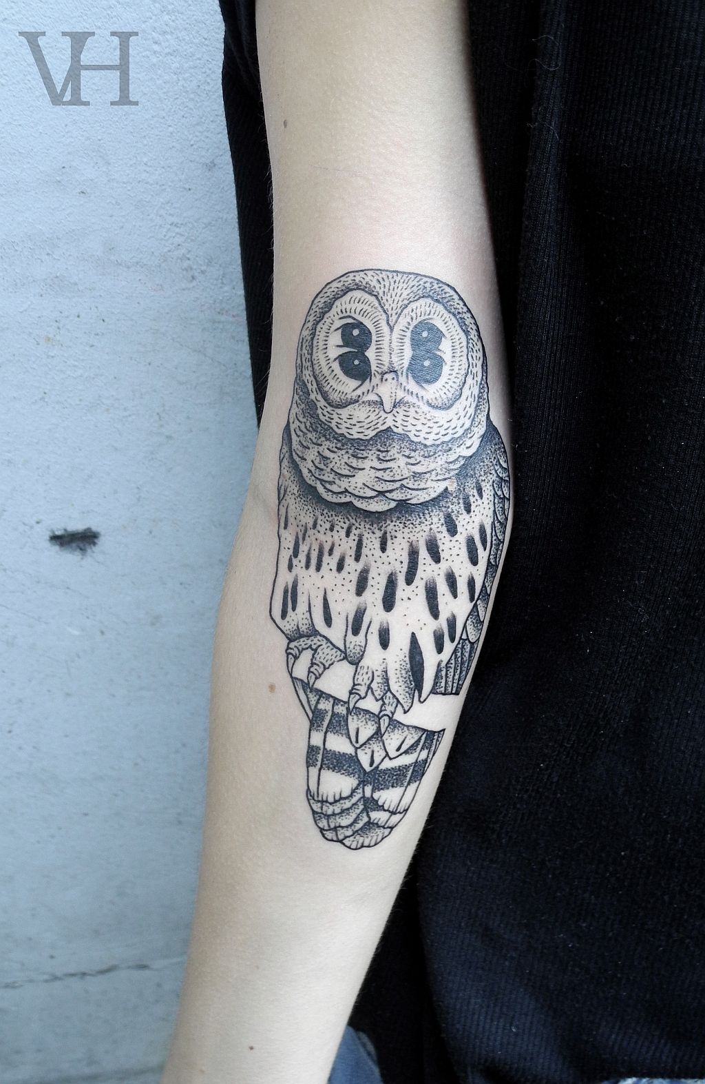 Detail Tato Burung Hantu Di Tangan Nomer 47