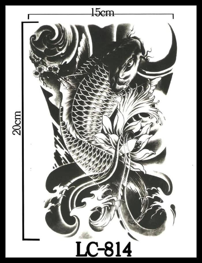 Detail Tato Gambar Ikan Koi Nomer 26