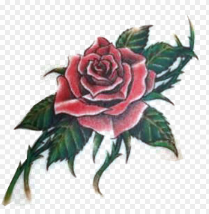 Detail Tattoo Rose Png Nomer 15