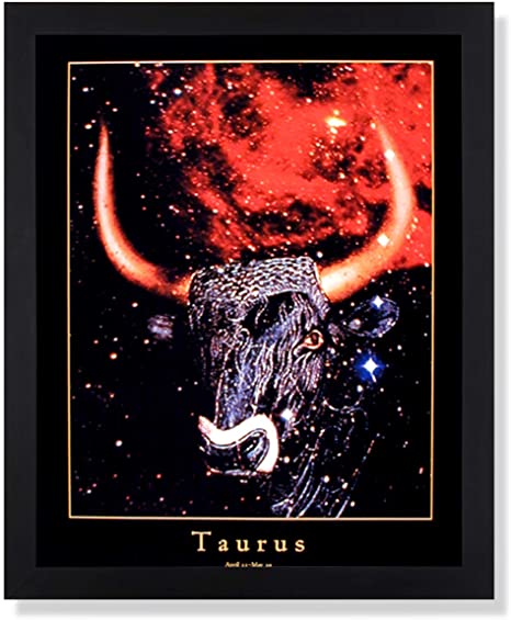 Detail Taurus Bull Pictures Nomer 14