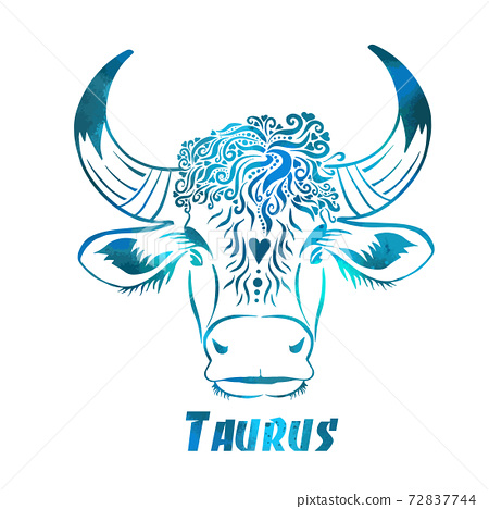 Detail Taurus Bull Pictures Nomer 23