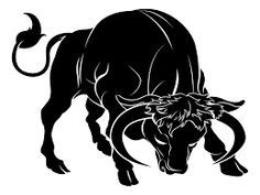 Detail Taurus Bull Pictures Nomer 49