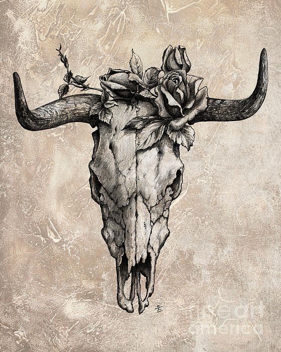 Taurus Skull Tattoos - KibrisPDR