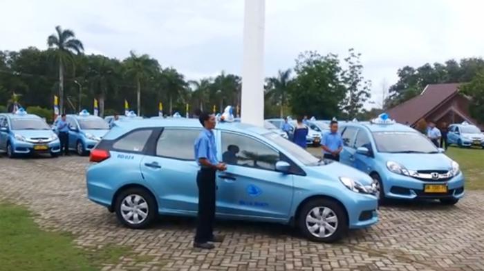 Detail Taxi Blue Bird Gratis Nomer 11