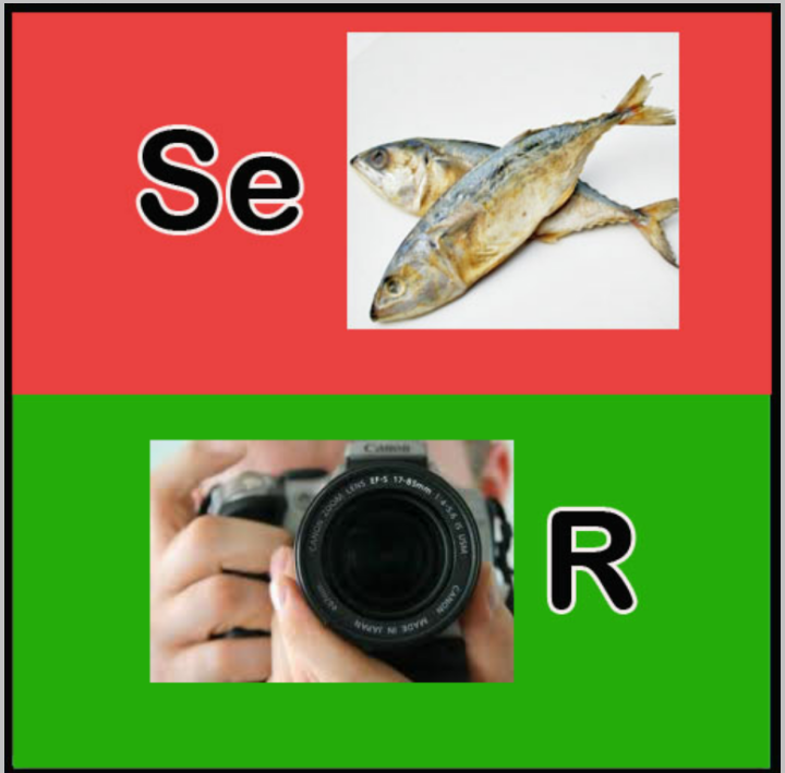 Detail Tebak Gambar Ikan Dan Kamera Nomer 3