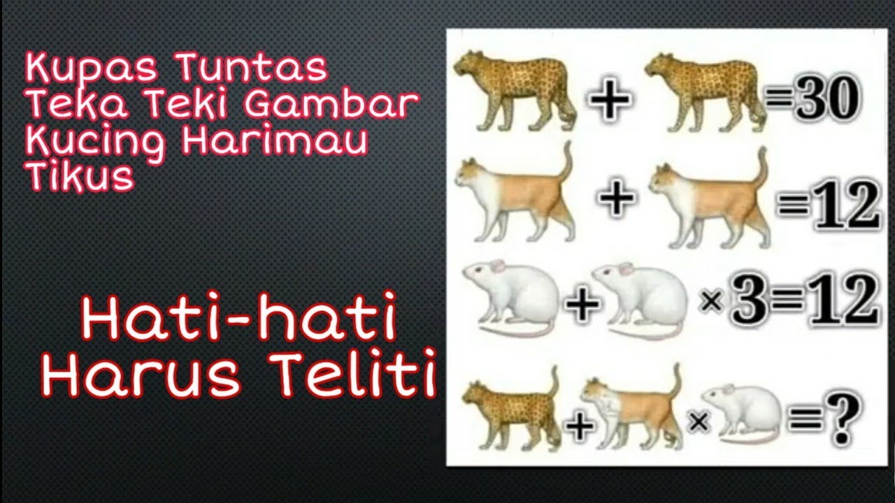 Detail Tebak Gambar Kucing Nomer 24