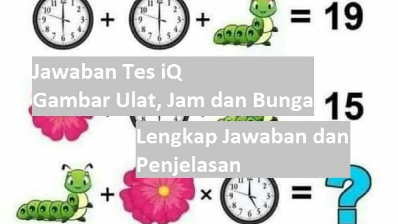 Detail Tebak Gambar Tes Iq Nomer 15