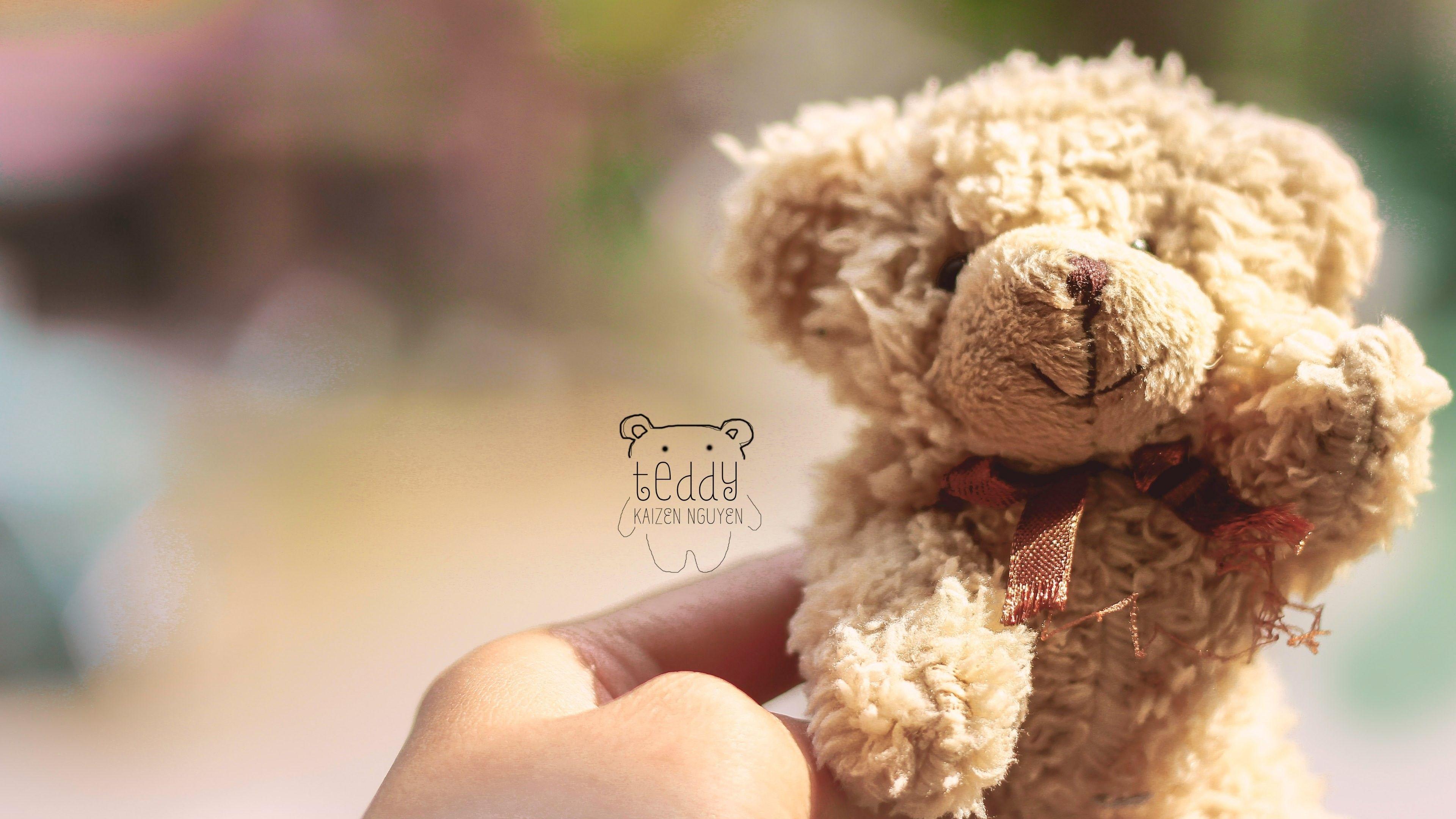 Detail Teddy Bear Background Nomer 35