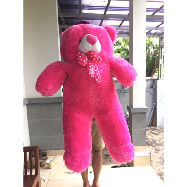 Detail Teddy Bear Besar Dan Murah Nomer 38