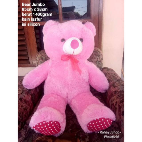 Detail Teddy Bear Besar Dan Murah Nomer 39