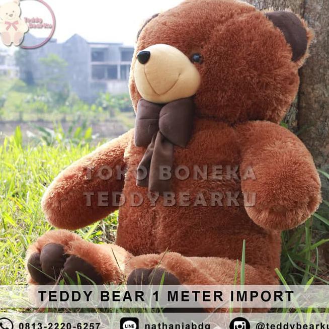 Detail Teddy Bear Coklat Nomer 19