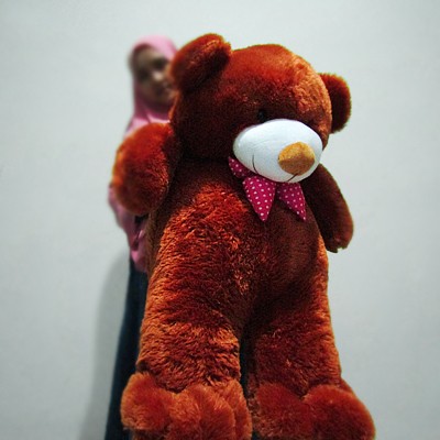 Detail Teddy Bear Coklat Nomer 24