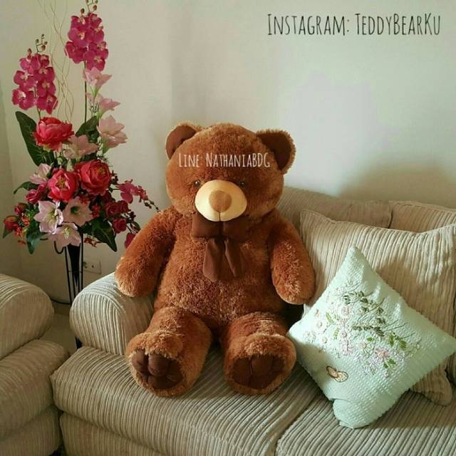 Detail Teddy Bear Coklat Nomer 25