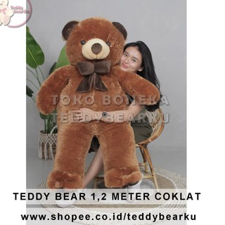 Detail Teddy Bear Coklat Nomer 27