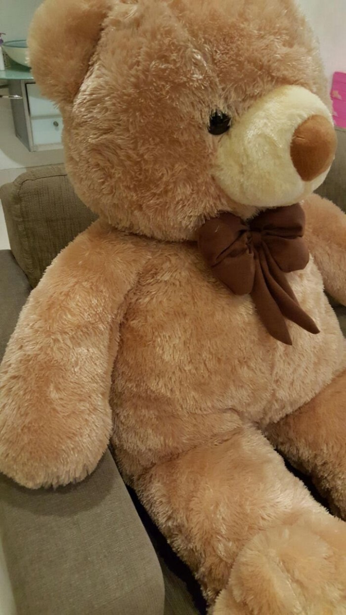 Detail Teddy Bear Coklat Nomer 4