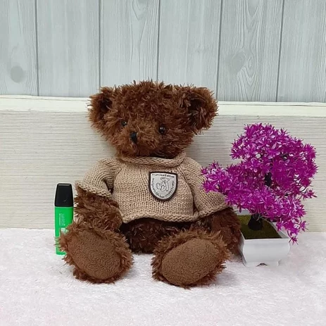 Detail Teddy Bear Coklat Nomer 30