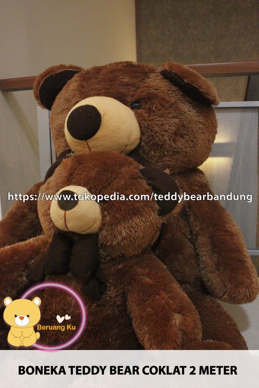 Detail Teddy Bear Coklat Nomer 40