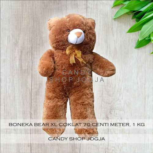 Detail Teddy Bear Coklat Nomer 41