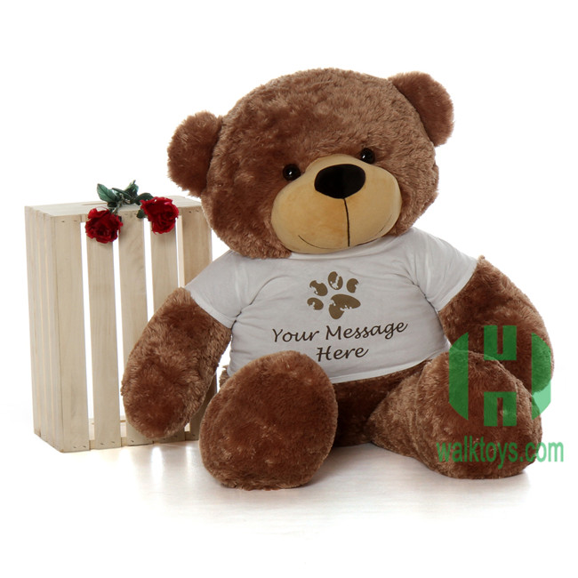 Detail Teddy Bear Coklat Nomer 49