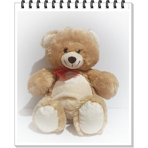 Detail Teddy Bear Coklat Nomer 51
