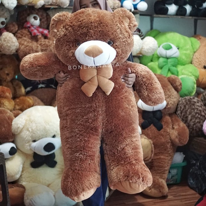 Detail Teddy Bear Coklat Nomer 55