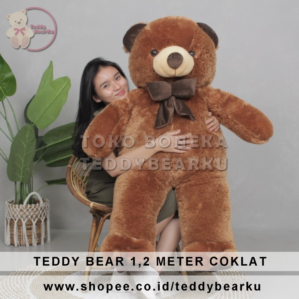Detail Teddy Bear Coklat Nomer 9