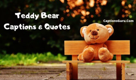 Detail Teddy Bear Gift Quotes Nomer 20