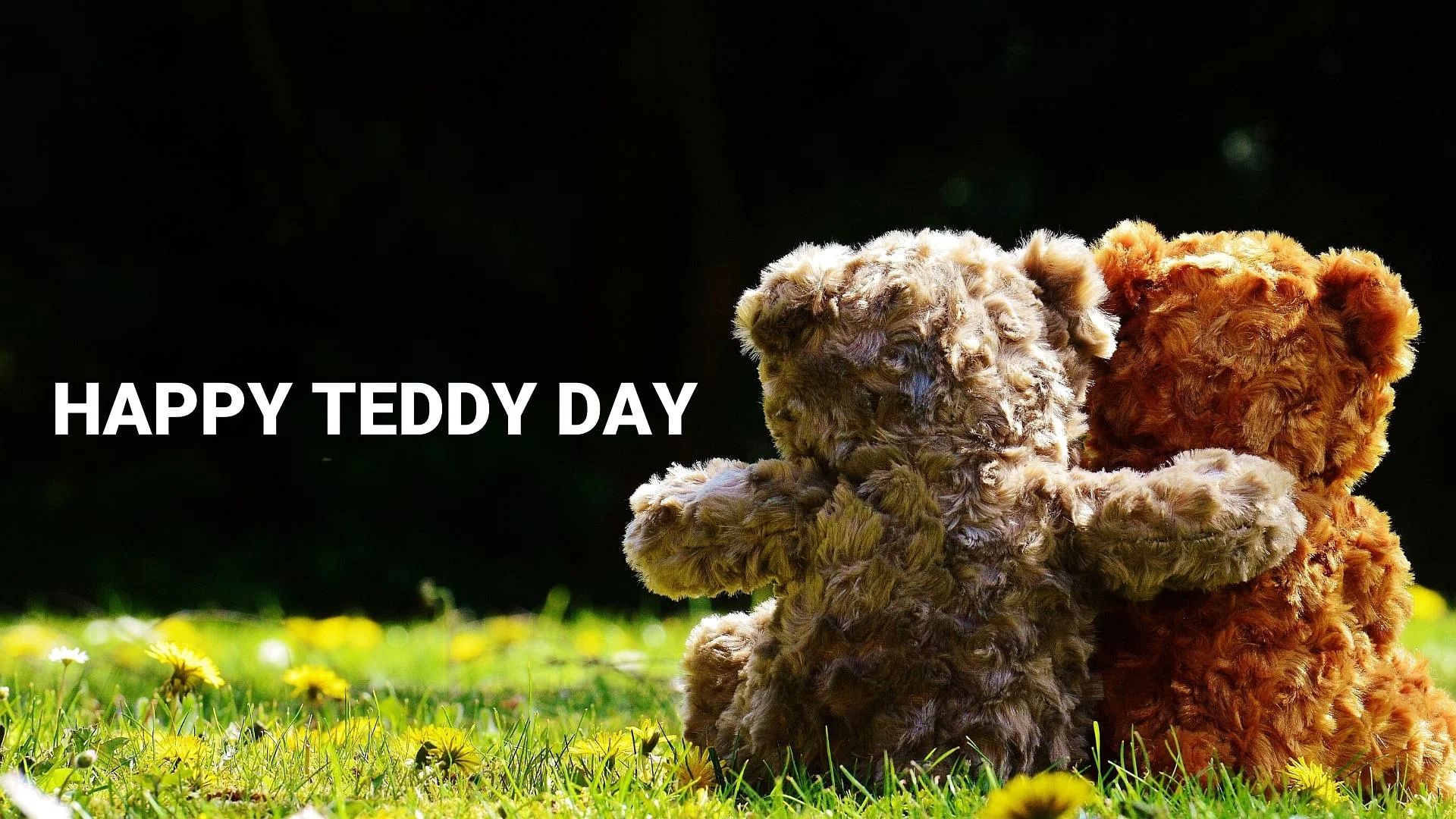 Detail Teddy Bear Gift Quotes Nomer 21