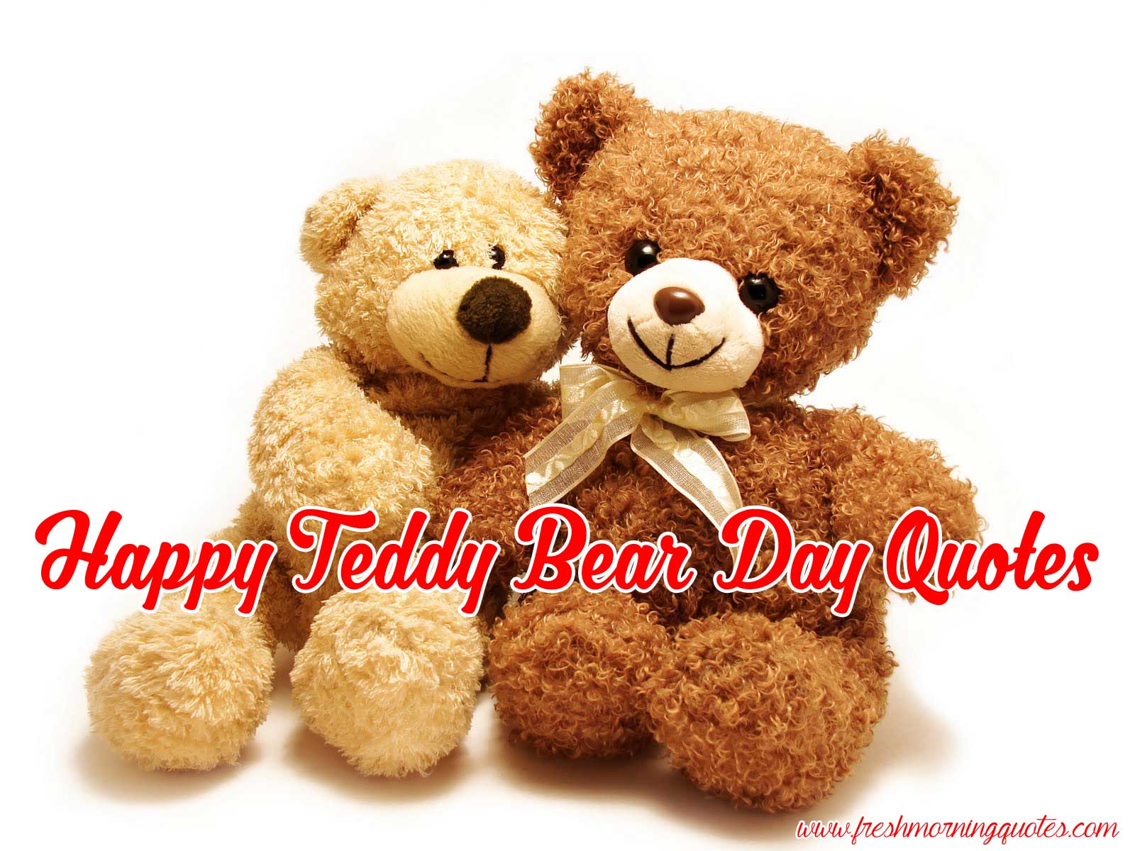 Detail Teddy Bear Gift Quotes Nomer 54