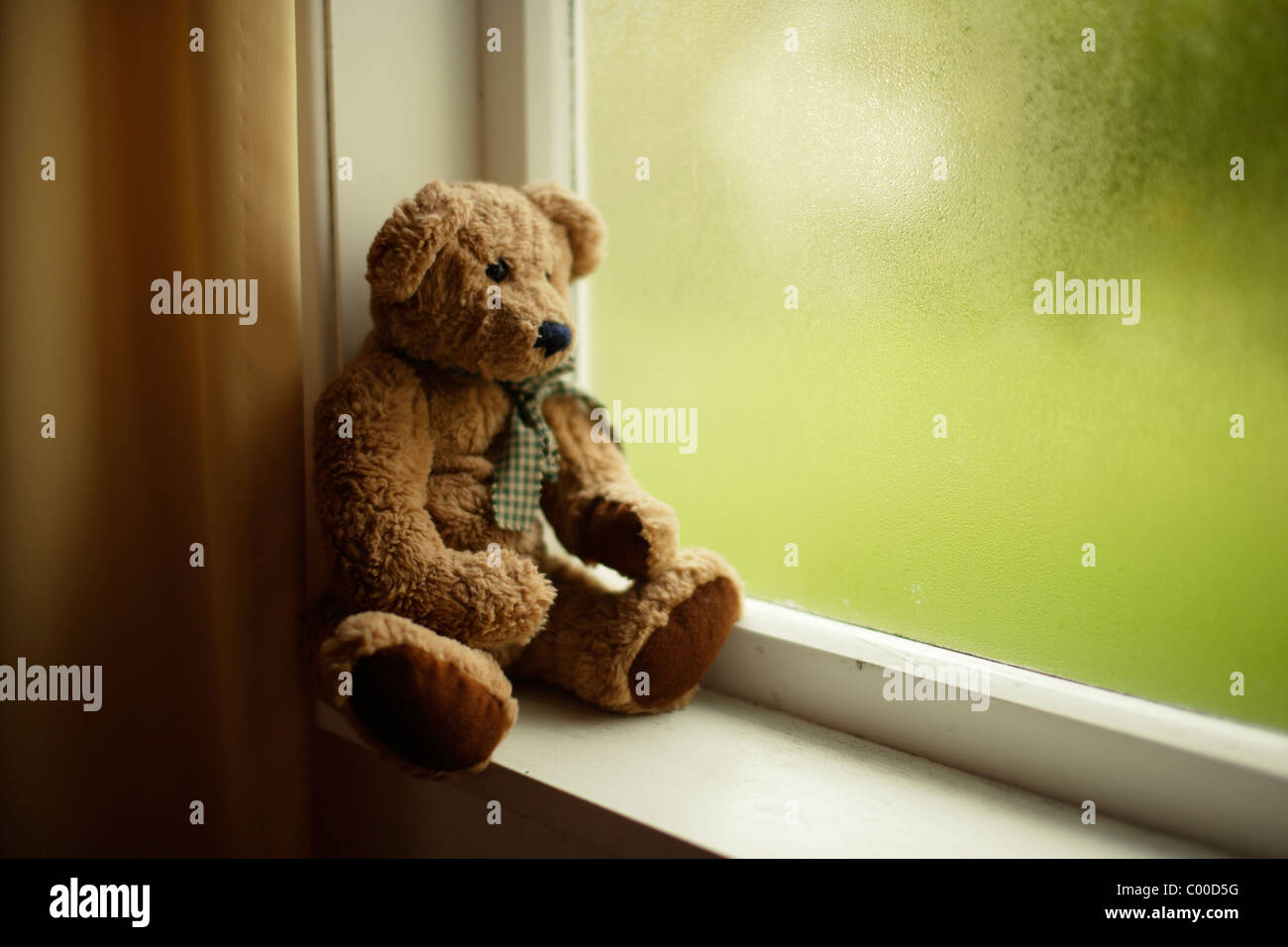 Detail Teddy Bear Image Nomer 22