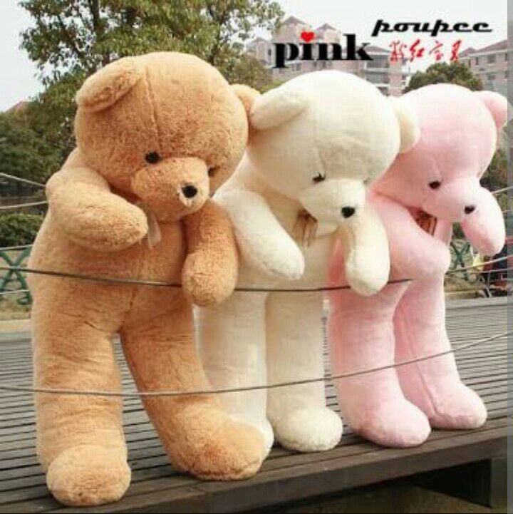 Detail Teddy Bear Image Nomer 38