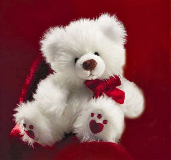 Detail Teddy Bear Images Free Download Nomer 5