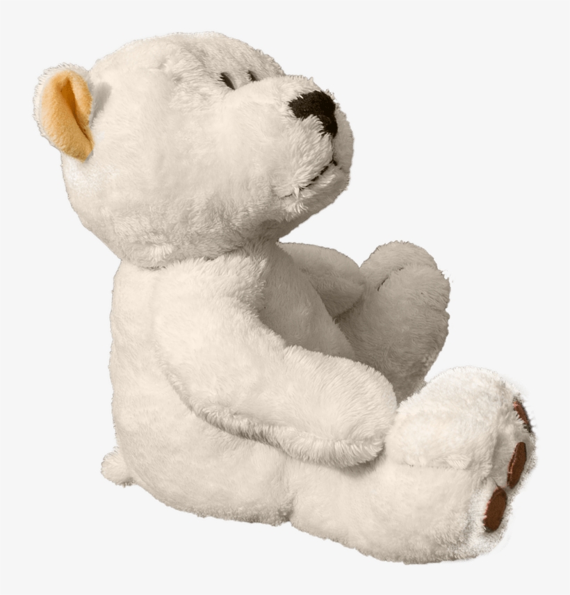 Detail Teddy Bear Images Free Download Nomer 45