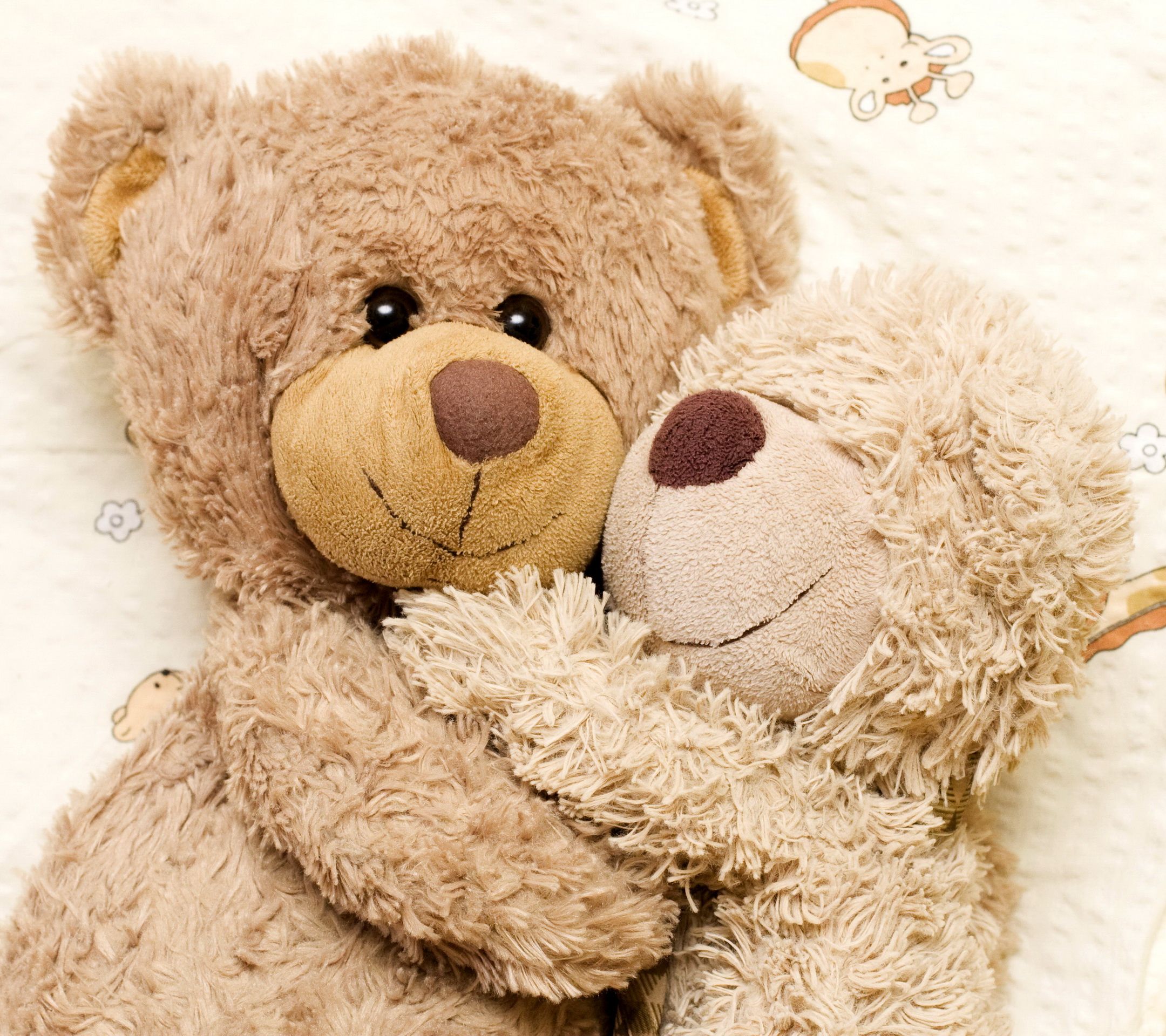 Detail Teddy Bear Love Images Nomer 13