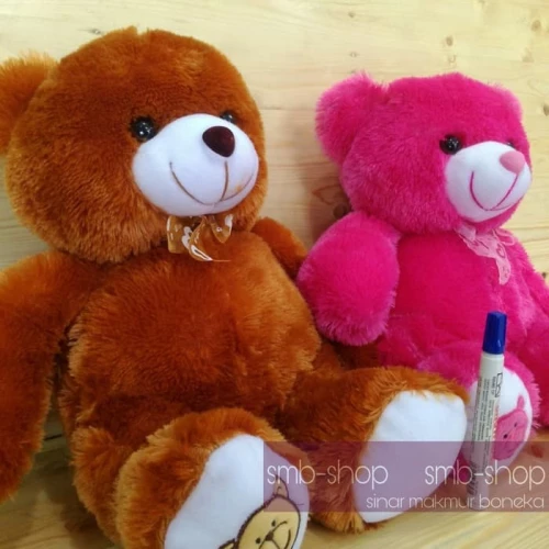 Detail Teddy Bear Lucu Nomer 7