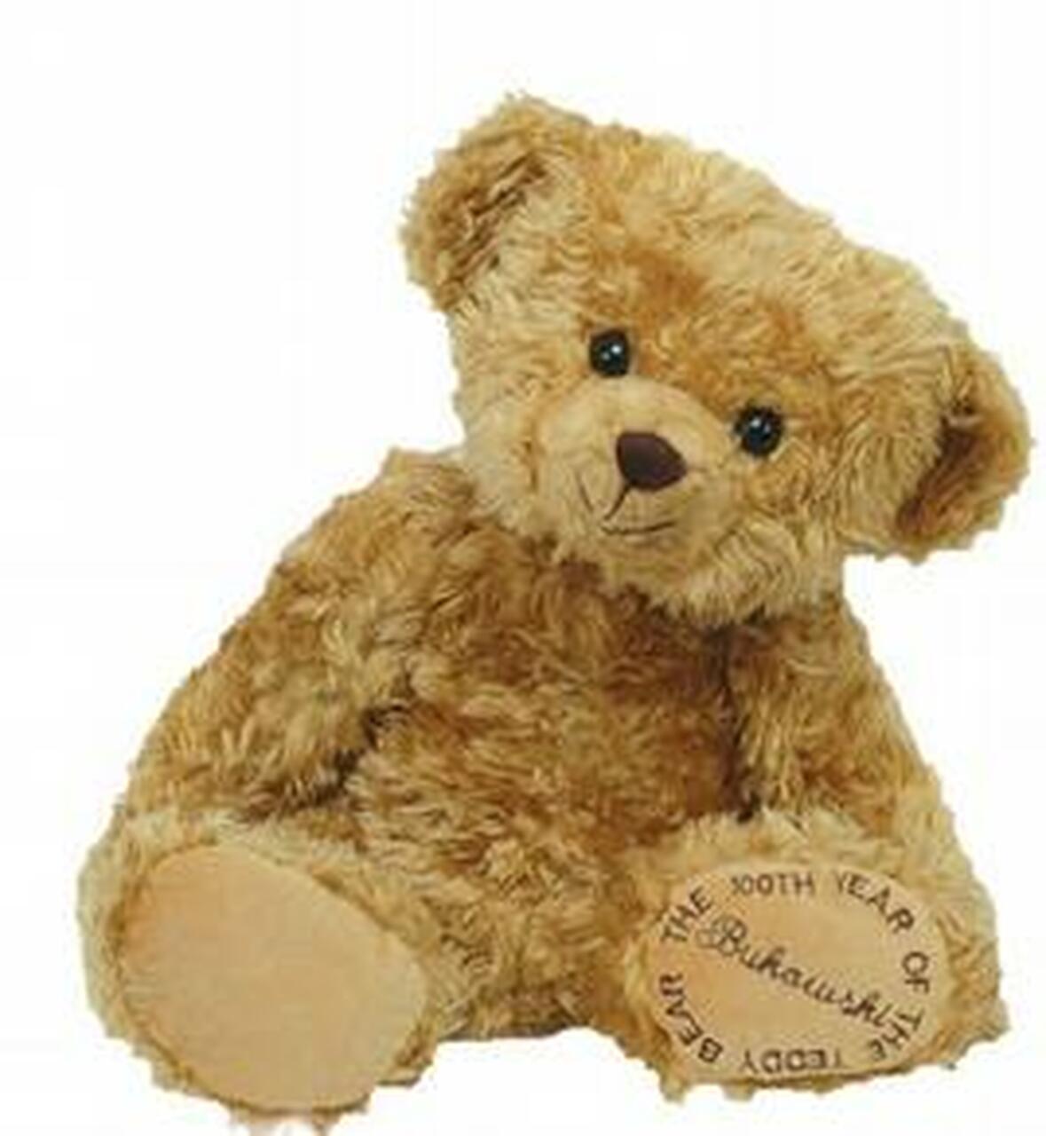 Detail Teddy Bear Pictures Nomer 16