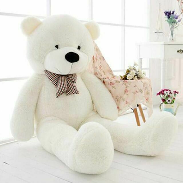 Detail Teddy Bear Pictures Nomer 40